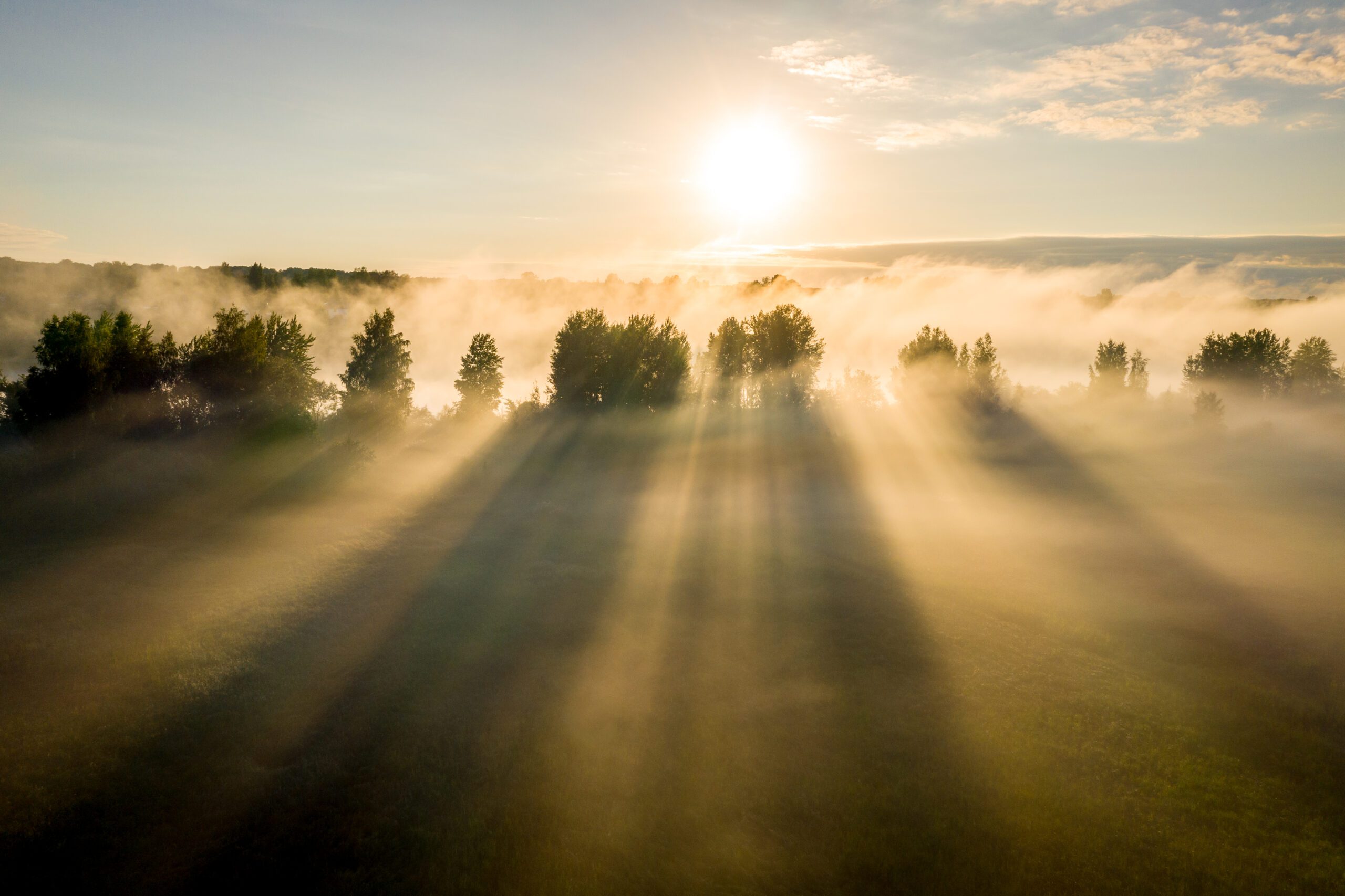 Early morning landscape Foggy river River valley in the morning fog at sunrise View from above Rays of the sun breaking through the fog in over the trees